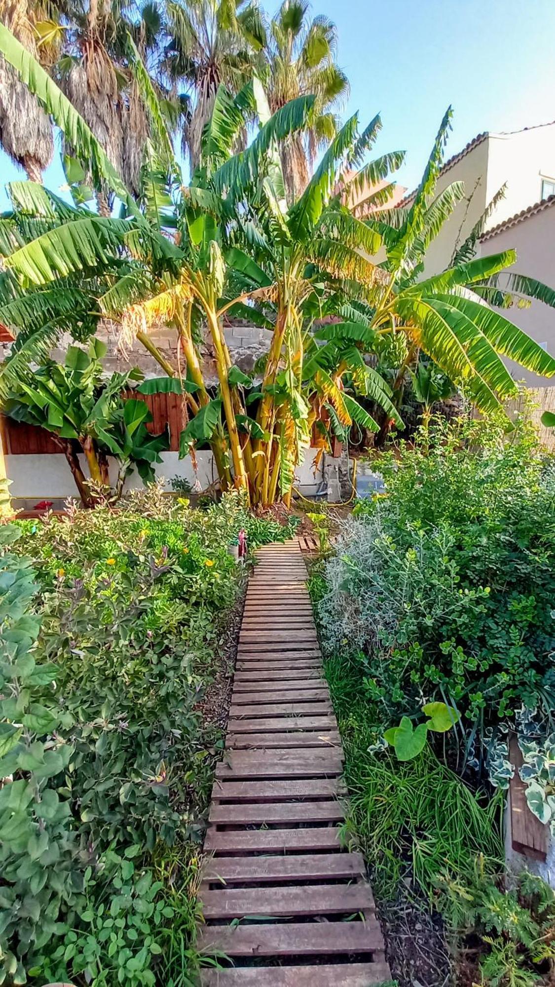 Finca Don Pedro Santa Cruz de Tenerife Exterior foto